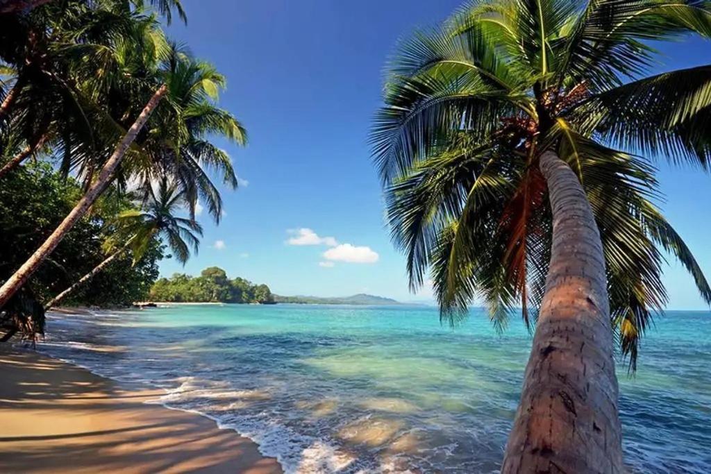 Roca Mar Rocawelch Puerto Viejo Lejlighedshotel Puerto Viejo de Talamanca Eksteriør billede